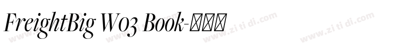 FreightBig W03 Book字体转换